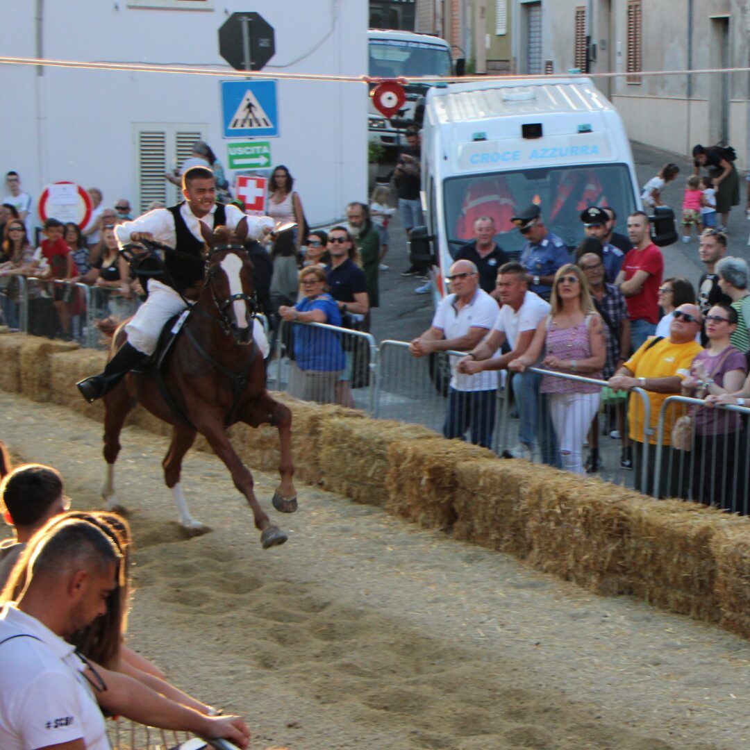 Edizione 2023 Edizione 2023