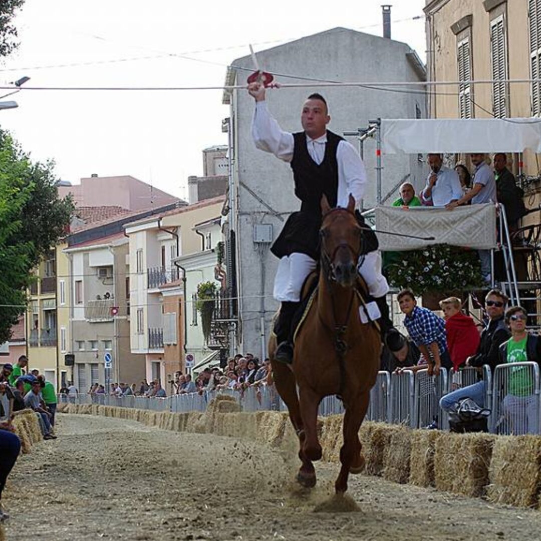 Cidda Marco Cidda Marco