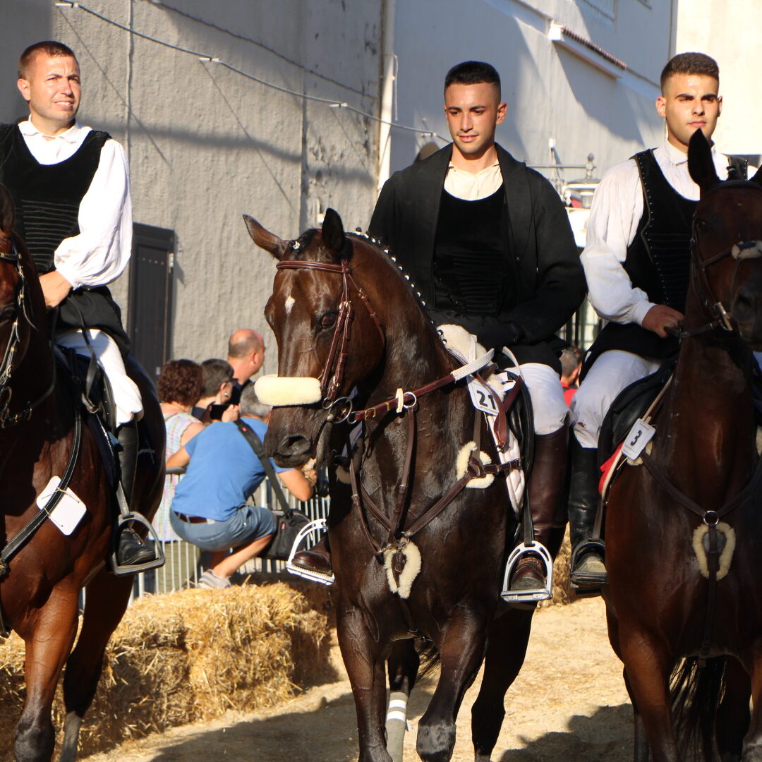 Edizione 2023 Edizione 2023