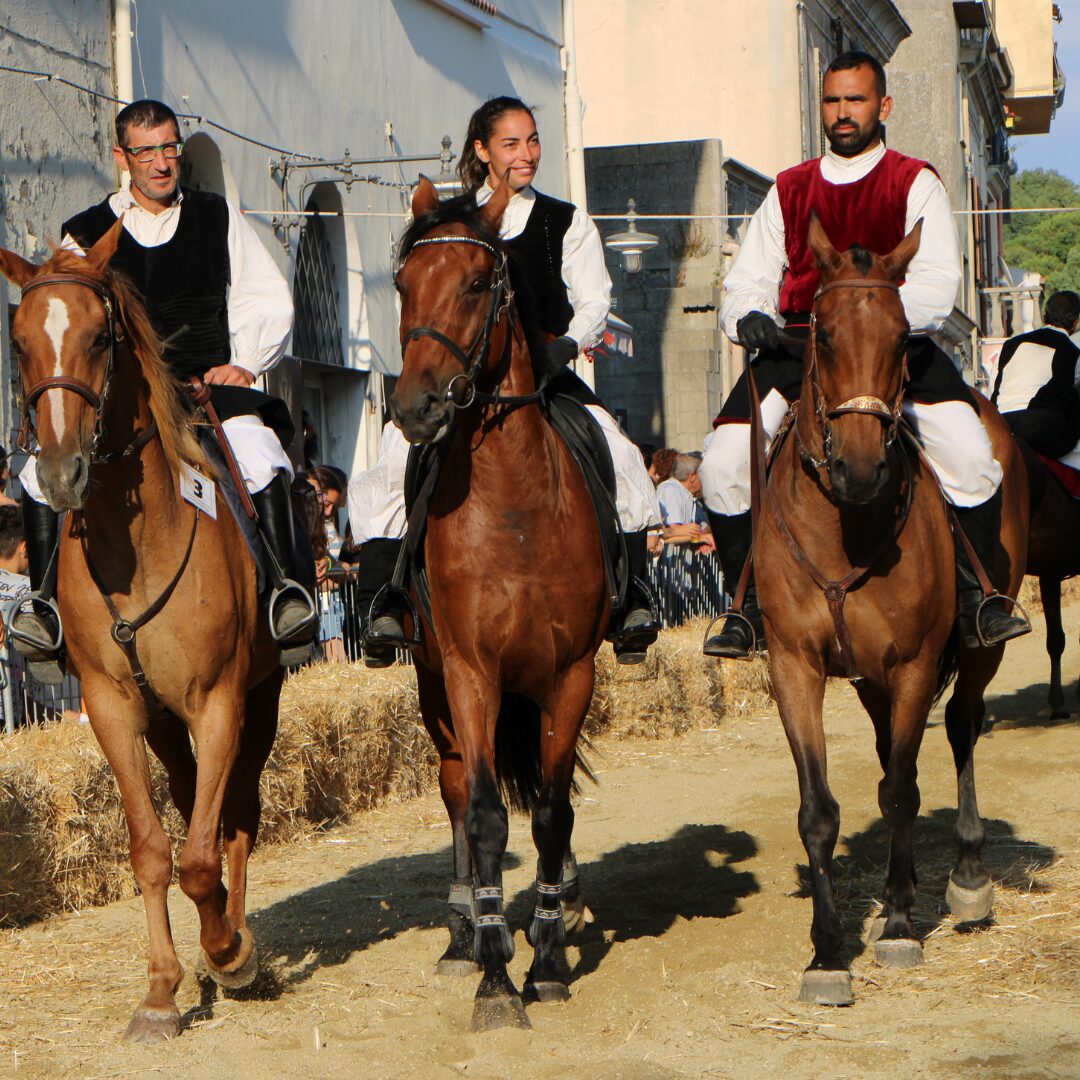 Edizione 2022 Edizione 2022