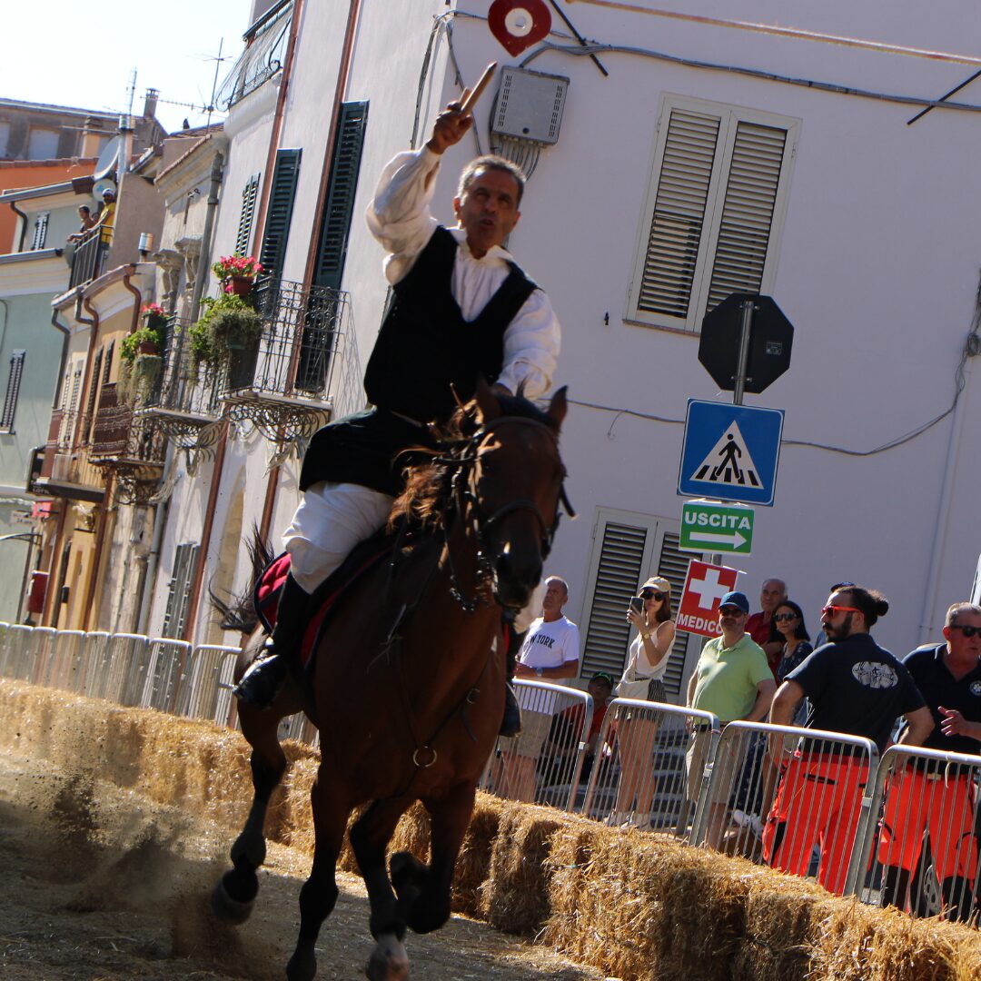 Edizione 2023 Edizione 2023