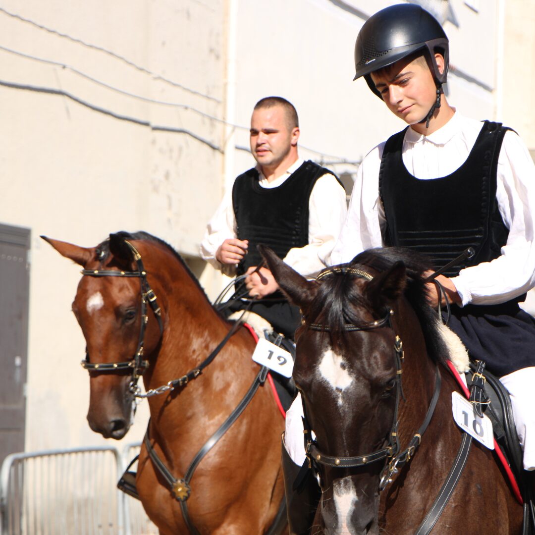 Edizione 2023 Edizione 2023