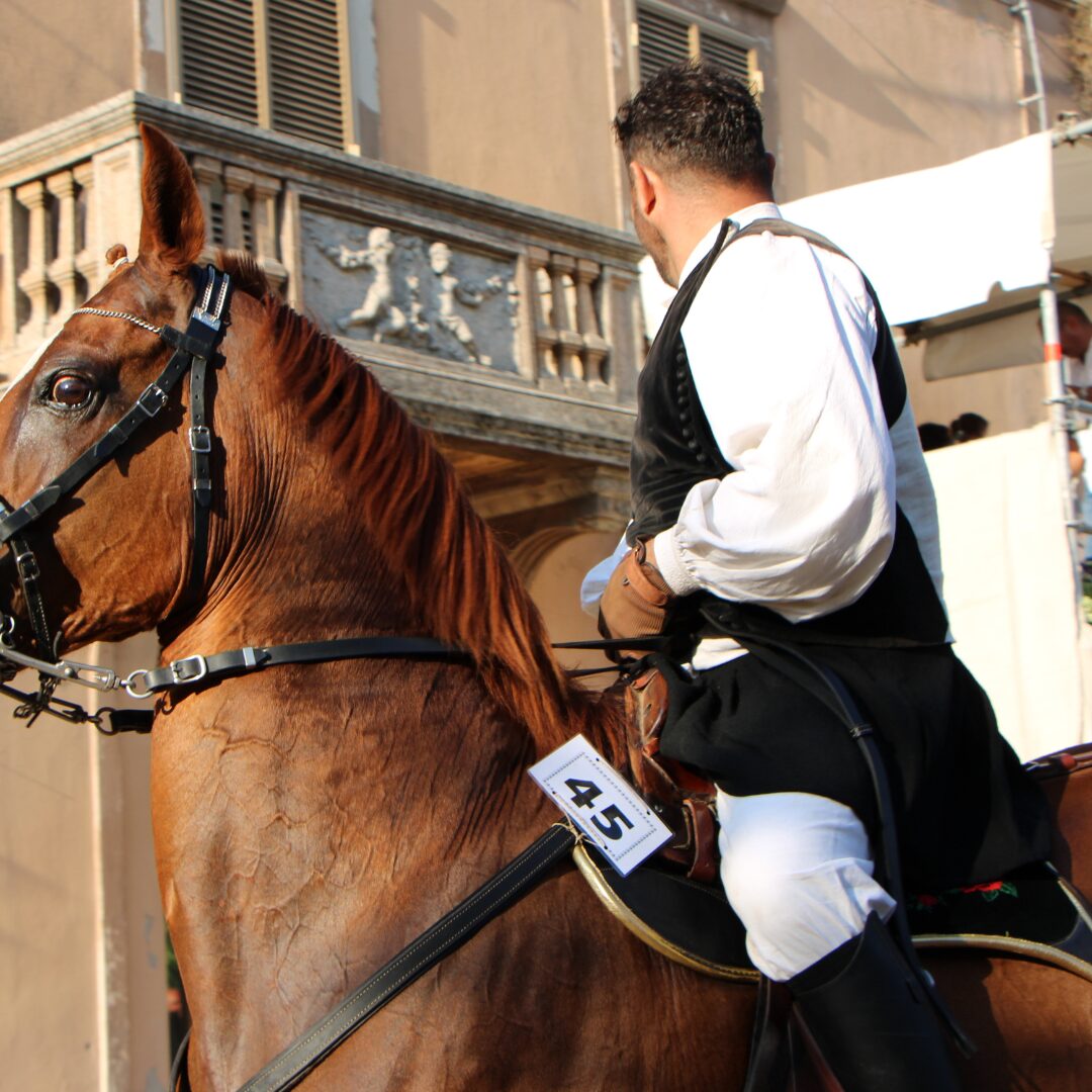 Edizione 2022 Edizione 2022