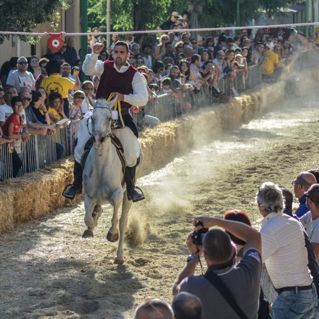 Piana Alessandro Piana Alessandro